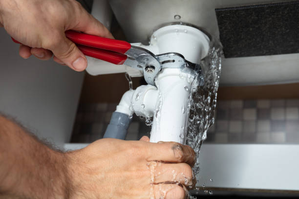 Best Water damage cleanup near me  in Timberlane, IL
