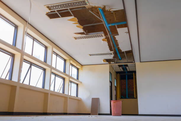 Best Local water damage restoration  in Timberlane, IL