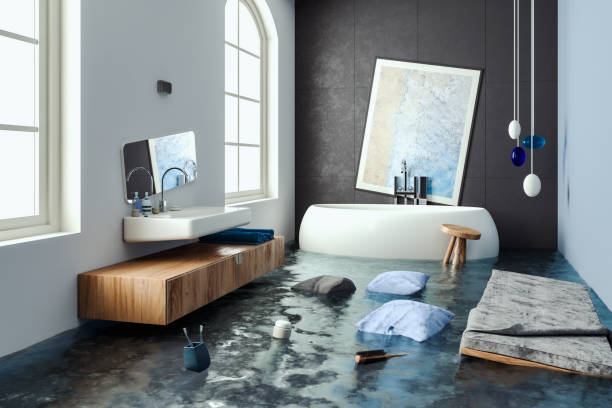 Best Emergency water damage restoration  in Timberlane, IL