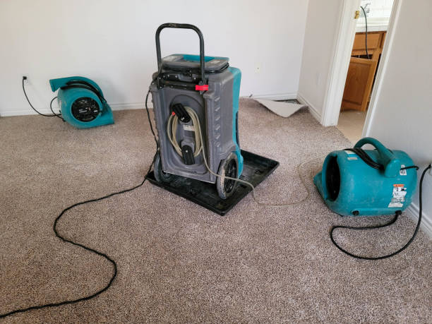 Best Carpet water damage restoration  in Timberlane, IL