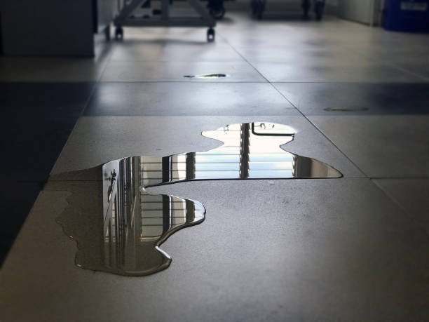 Best Professional water damage repair  in Timberlane, IL