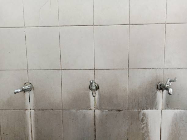 Best 24-hour water damage restoration  in Timberlane, IL