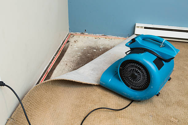 Reliable IL Water damage restoration Solutions